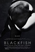 Blackfish preview