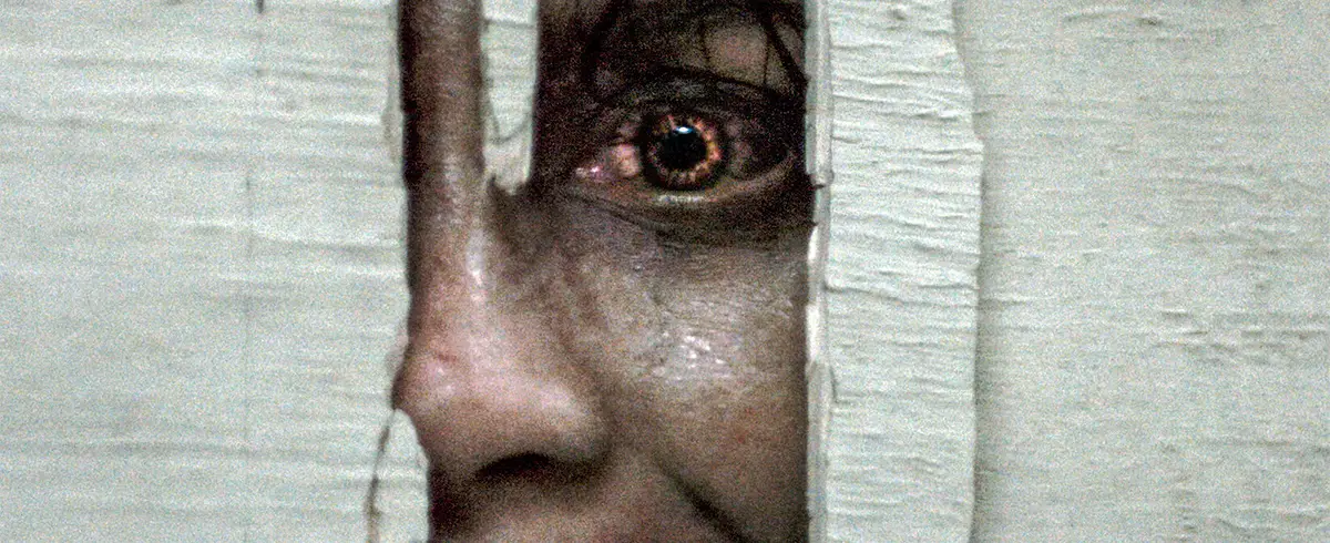 'Evil Dead Burn' Burns Ruthlessly