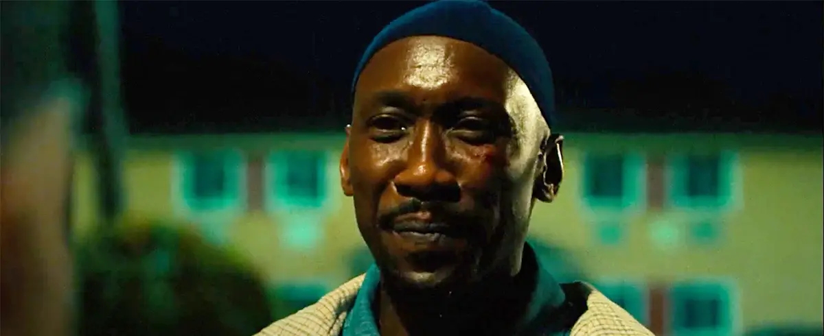 Your Mother Your Mother Your Mother (2026) Movie Review