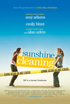 Sunshine Cleaning preview